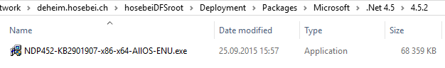 .Net 4.5.2 Source directory