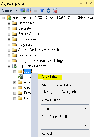 SQL Server Agent Job